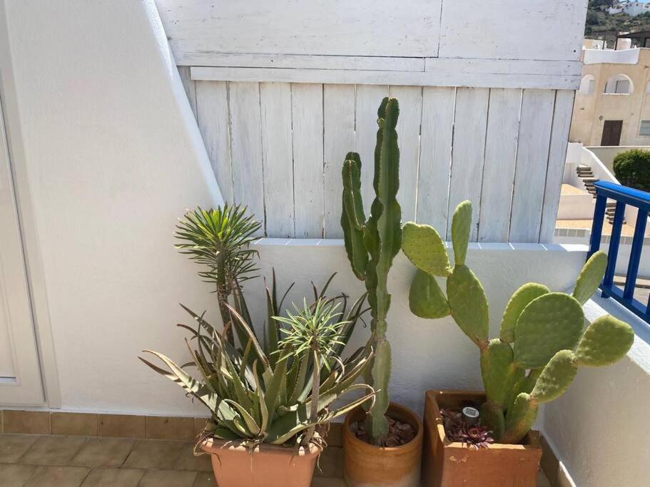 Galeria Tres Pinos Lägenhet San José Exteriör bild